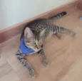 Ralph