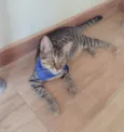Ralph
