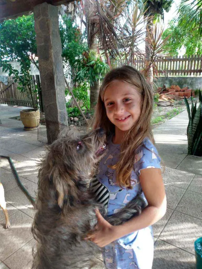 Cachorro ra a Mestiços idade 1 ano nome Bugu e Clarice