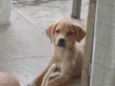 bob