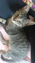 Spock