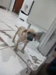 Duke