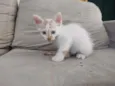 laranja