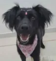 Nina 
