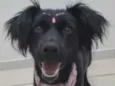 Nina 