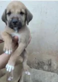 Ainda não tem nomes