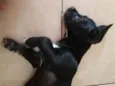 Lua