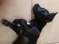Lua