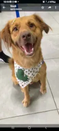 Tarê