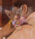Mimi