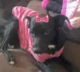 Rubi 