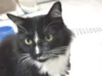 Bob 