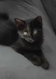 Nina