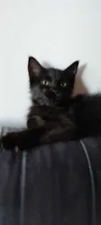 Nina