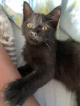 Nina