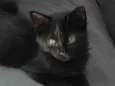 Nina