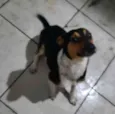 Ralph
