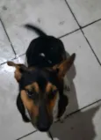 Ralph