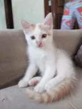 Jack