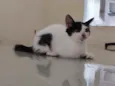 Mimi