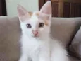 Jack