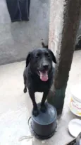 BOB
