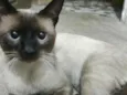 George