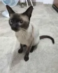 George