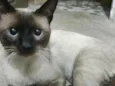 George