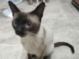 George
