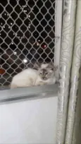 Chloe