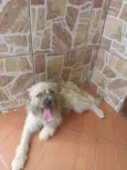 Não tem