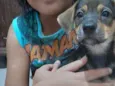 Estrela