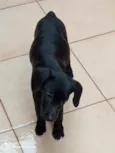 Julie