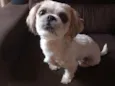 Tino