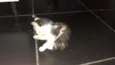 Não tem nome