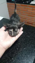 Não tem nome