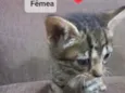 Bebê