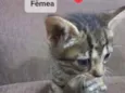 Bebê