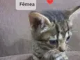 Bebê