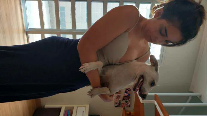 Cachorro ra a Sem raça definida idade 2 a 6 meses nome Stive