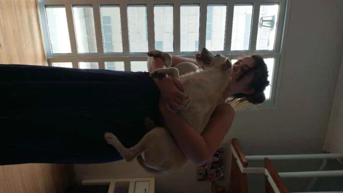 Cachorro ra a Sem raça definida idade 2 a 6 meses nome Stive