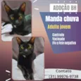 Manda Chuva