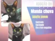 Manda Chuva