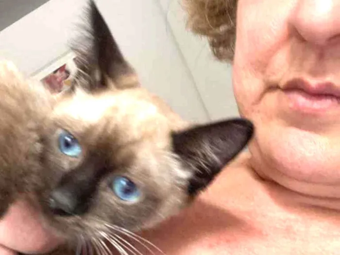 Gato raça Srd idade Abaixo de 2 meses nome Doninha