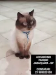 Desconhecido