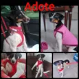 Paty