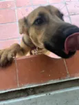 Lua