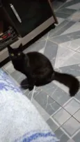 Luci