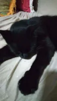 Luci